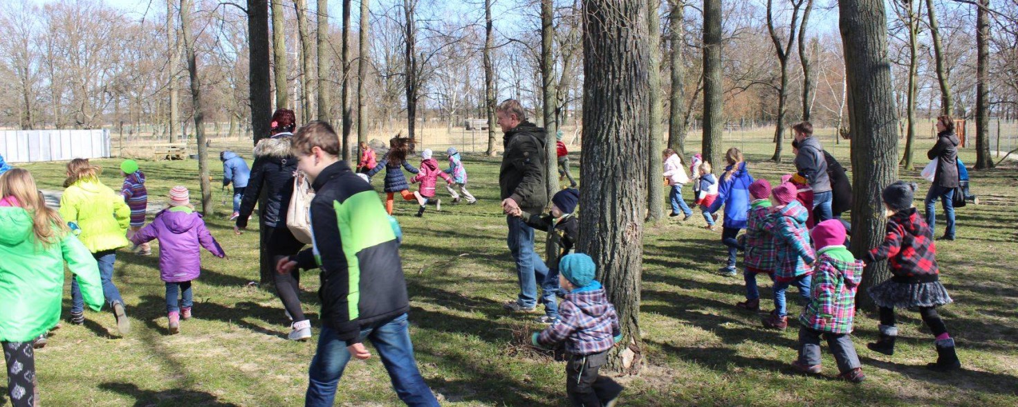 Eine größere Gruppe Kinder sucht in einem Gebiet mit vielen Bäumen nach Ostereiern