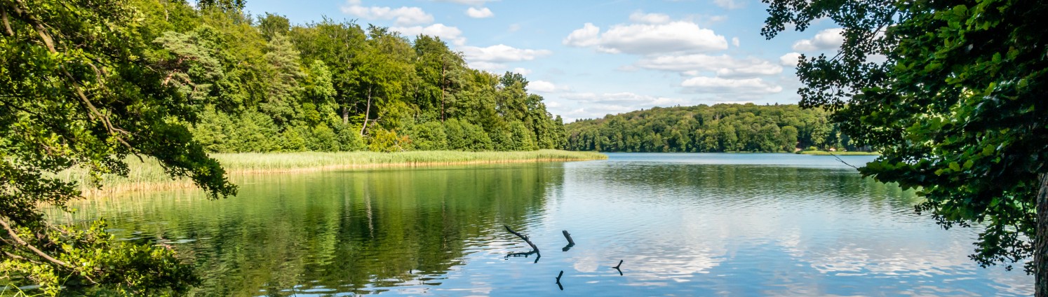 Brandenburger Landschaft