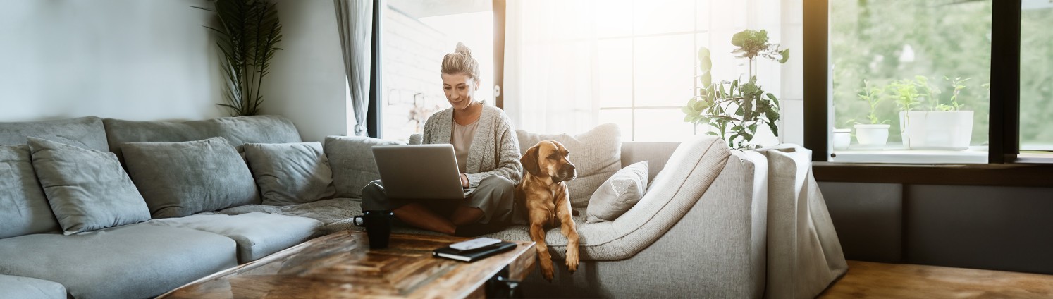 Geschäftsfrau sitzt mit ihrem Hund auf der Couch und arbeitet am Laptop