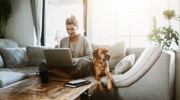 Geschäftsfrau sitzt mit ihrem Hund auf der Couch und arbeitet am Laptop