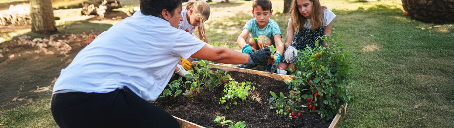 Eine Frau pflanzt mit drei Kindern Kräuter und Tomaten in ein Hochbeet ein.