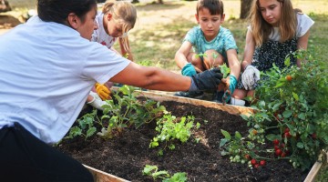 Eine Frau pflanzt mit drei Kindern Kräuter und Tomaten in ein Hochbeet ein.